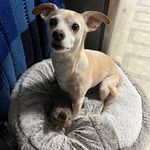 Pam Biggs-Mein - @pammein - Instagram