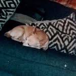 Pam Billings - @billings.pam - Instagram