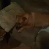 Pam Blank - @pam.blank4 - TikTok