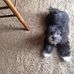 Pam Bowden - Facebook