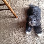 Pam Bowden - @pam.bowden.57 - Instagram