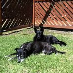 Pam-Kevin Bowden - @mrsbowdo1 - Instagram