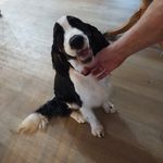 Pam Bowman - @pambowman - Instagram