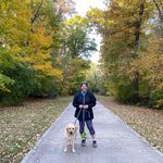 Pam Bowman - @housesbypam - Instagram