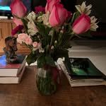 Pam Boyce - @horsearoundpam - Instagram