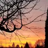 Pam Boyle875 - @pamb426 - TikTok