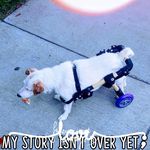 Pam J Braden - @pambraden65 - Instagram