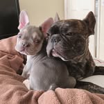PAM & BRUCE - @pam_bruce_ - Instagram