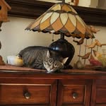 Pam Bruce - @pam4655b - Instagram