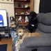 Pam Bryson - Facebook