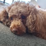 Pam Bucci - @pambucci67 - Instagram