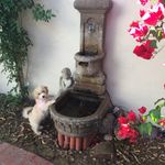 Pam Buck - @pambuck.az - Instagram