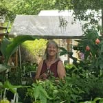 Pam Buckwalter - @pambuckwalter - Instagram