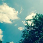 Pam Buckner - @photogirl_73 - Instagram