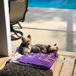 Pam Buckner - @pdbuckner - Instagram