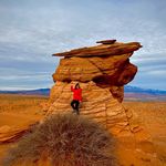 Pam Buckner - @pambuckner28 - Instagram