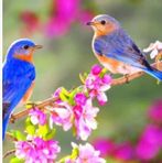 Pam Buckner - Facebook