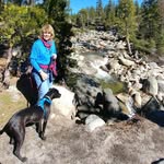 Pam Burdi - @pamburdi - Instagram