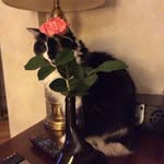 Pam Burdick - @burdickpam - Instagram