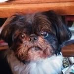 Pam Burdick - @pam.burdick.52 - Instagram