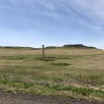 Pam Burden - @pami_1360 - Instagram