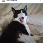 Pam Burger - @pamburger80 - Instagram