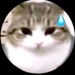 Pam Burger - @pamburger987 - Instagram