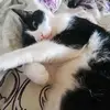 Pamburger80 - @pamburger80 - TikTok