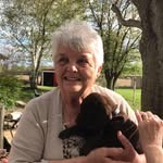 Pam Althouse Burgin - @pam_althouse_burgin - Instagram