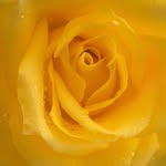 Pam Burnham - @pam.burnham.14 - Instagram