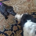 Pamela Burnham - @practically.perfect.pam - Instagram
