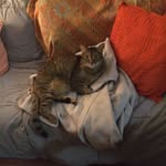 Pamela Burnham - @burnham.pamela - Instagram