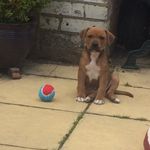 buster - @busterspam - Instagram