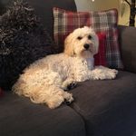 Pam - @pammybuster - Instagram