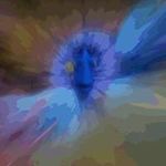 Pam Byrd - @byrd5486 - Instagram