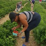 Pam Byrd - @pam.byrd.712 - Instagram
