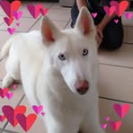 Pam Byron - Facebook