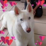 Pam Byron - @pbyron3296 - Instagram