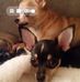 Pamela Cable - Facebook