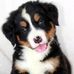 Pam Cady - Facebook
