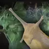 Pam Cairns - @pam.cairns1 - TikTok