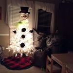 Pam Calhoun - @momc615 - Instagram