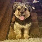 Pam Jordal Calhoun - @pam.j.calhoun - Instagram