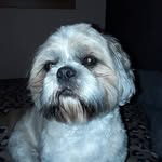 pam callaghan - @stepam79 - Instagram