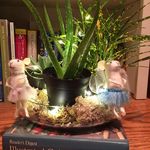 Pam Calvert-Hirt - @calverthirt - Instagram