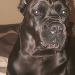 Pam Hanes Calvert - @calv.ert7892 - Instagram