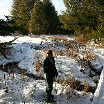 Pam Cantrell - @pamc802 - Instagram