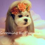 Pammie Carmichael-hogg - @pammie_carmichael_hogg - Instagram