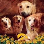Pam Carnes - @carnespam - Instagram