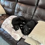 Pam Carnes Peck - @pmpck12 - Instagram